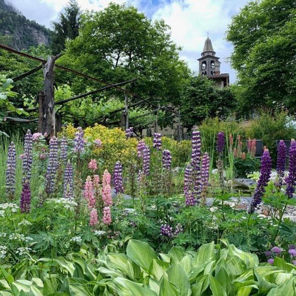 Grotto Pergola Bed & Breakfast Giornico Ngoại thất bức ảnh